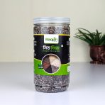 Healthy Life Pairing: Premium Seed Mix and Pure Sugarcane Powder Jaggery (500g Jar)