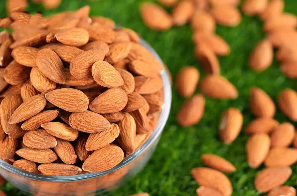 Brain booster food why are almonds important for improving memory