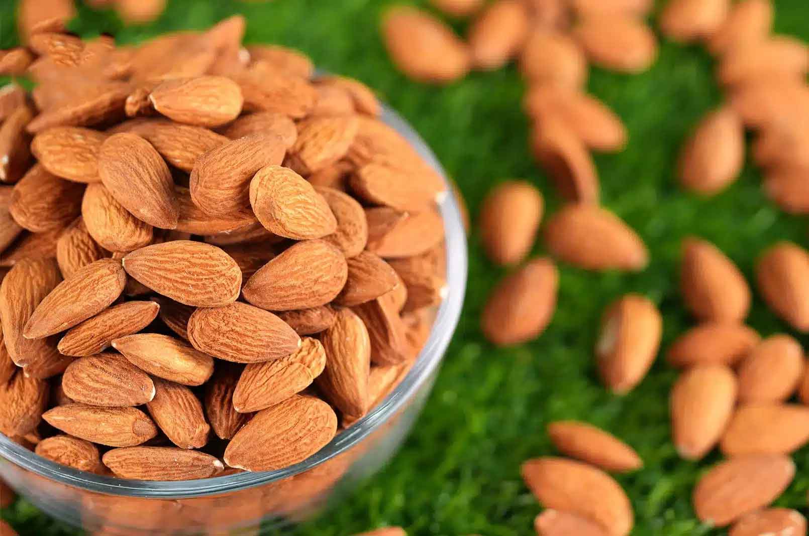 Brain booster food why are almonds important for improving memory