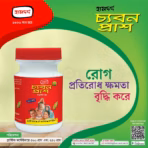 Hamdard Chyabanprash 500gm