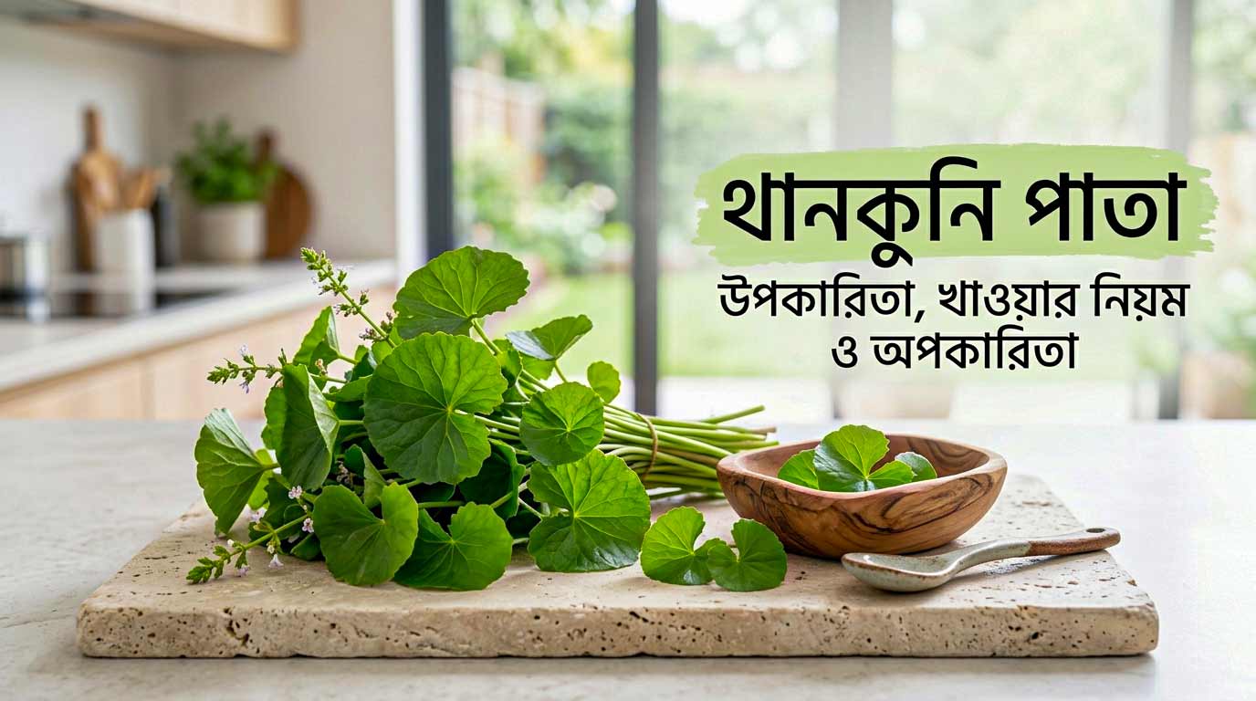 থানকুনি পাতার উপকারিতা, খাওয়ার নিয়ম ও অপকারিতা